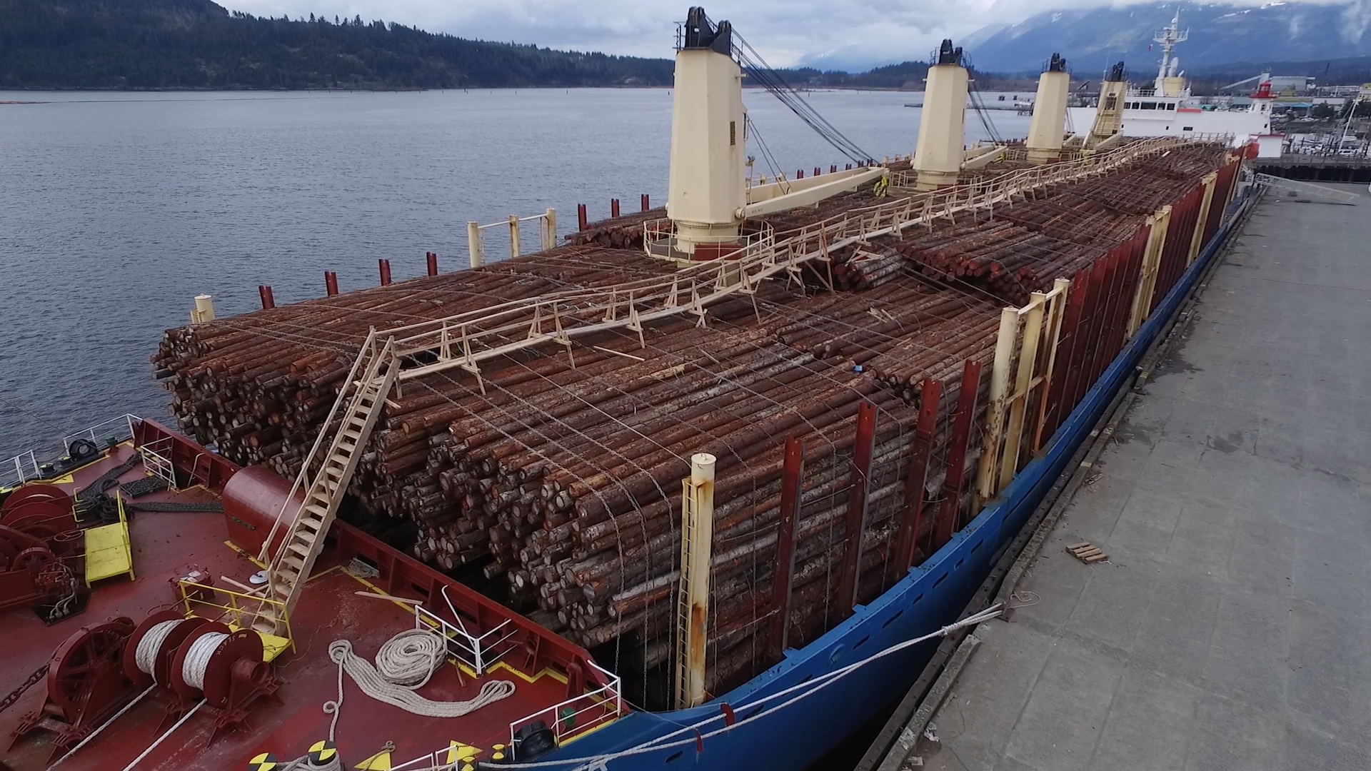 This image by TJ Watt of the Ancient Forest Alliance shows a log export ship docked in Port Alberni about to set sail with a full load of raw, unprocessed BC timber bound for foreign markets.